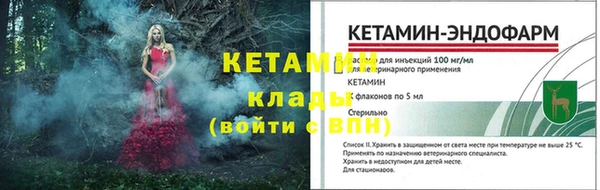дмт Пестово