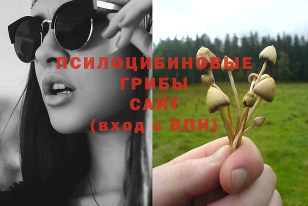 молекула духа Осинники