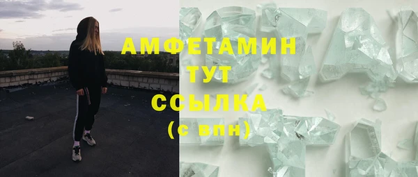 молекула духа Осинники