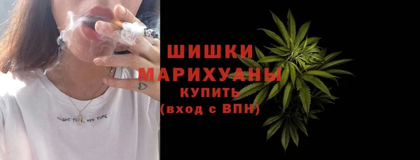 молекула духа Осинники
