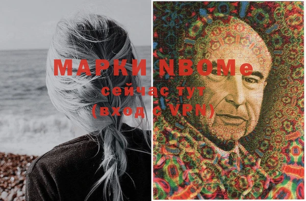 дмт Пестово
