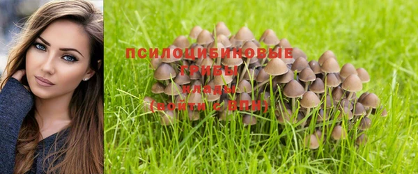 молекула духа Осинники