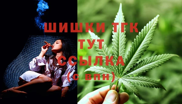 молекула духа Осинники