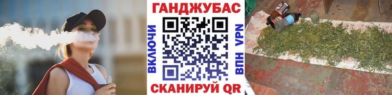 дарнет шоп  omg рабочий сайт  Бошки Шишки конопля  Колпашево 